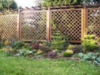 /album/fotogaleria/plot-jpg1/